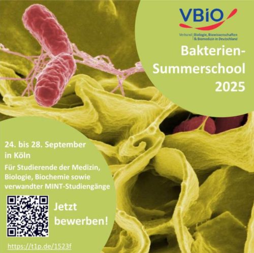 Bakterien Summerschool | 24 – 28. September