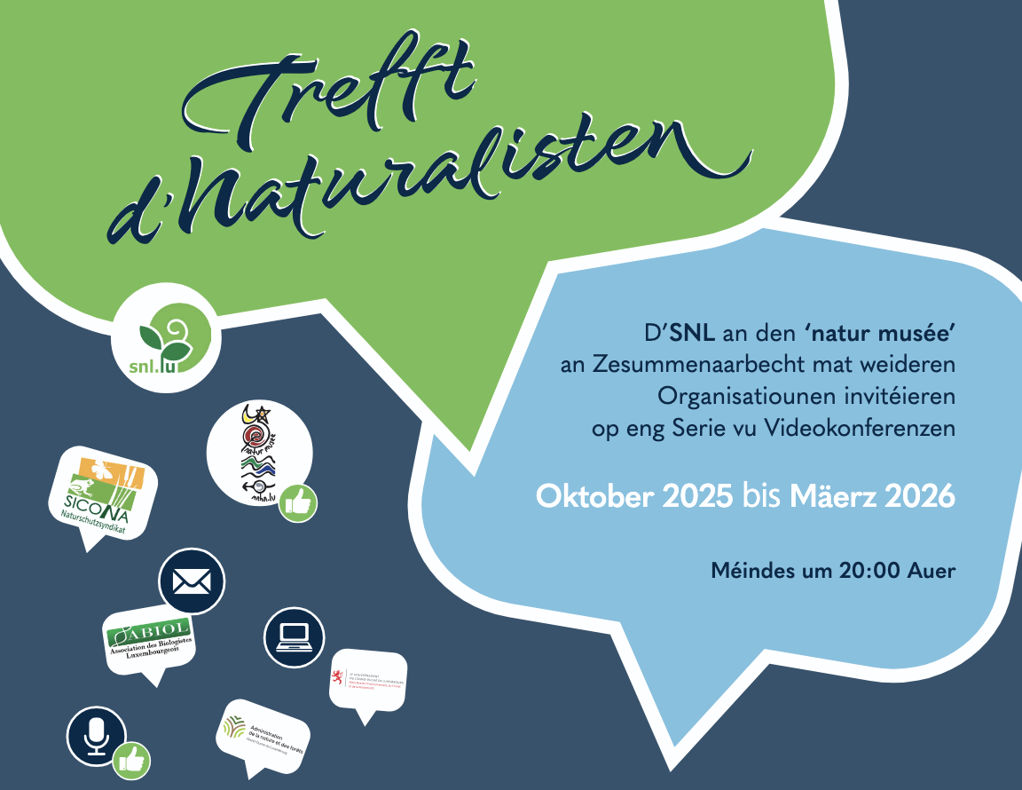 Treff d’Naturalisten | 10.2025 – 03.2026